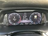 Škoda Octavia (2024) COM M-HEV STY PLUS TS110/1.5A7 - náhled 18
