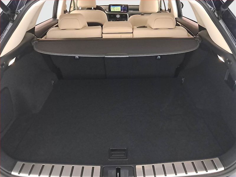 Lexus RX 400h (2023) 300 AWD - fotka 14 z 22