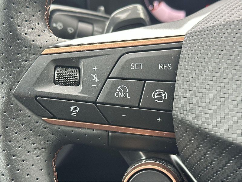 Cupra Terramar (2025) 2.0 TSI 4Drive DSG - fotka 19 z 34