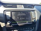 Škoda Octavia 2.0 TDi/135kW RS DSG ČR - náhled 22