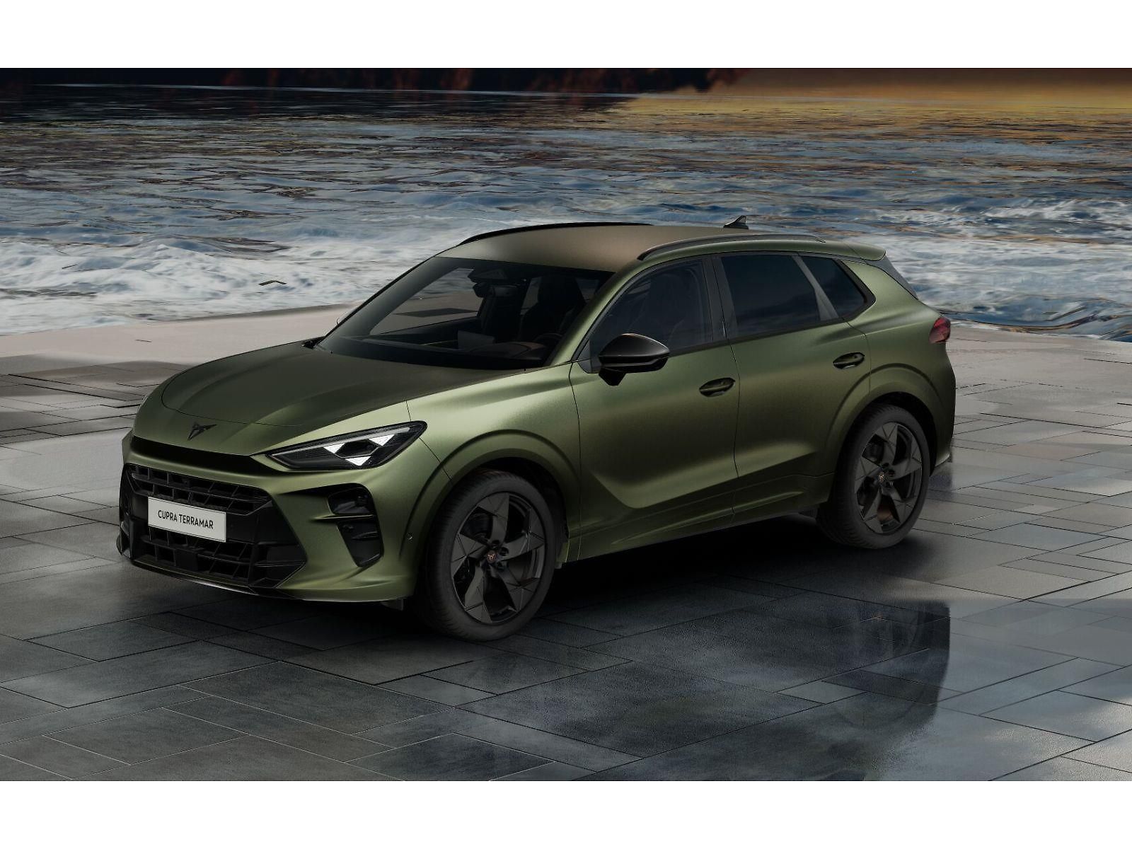 Cupra Terramar Tribe