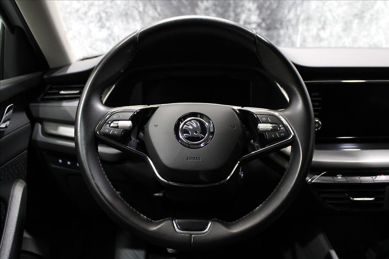 Škoda Octavia 2,0 TDI Ambition 1.majitel CZ - fotka 20 z 32