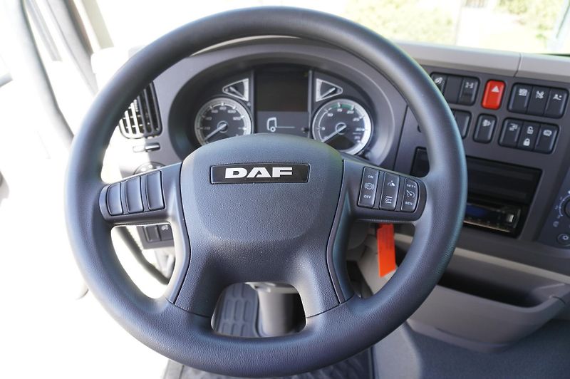 DAF LF (2024) 12.210 18 EPAL container/ lift - fotka 18 z 24