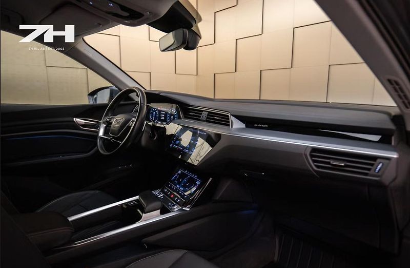 Audi Q8 e-tron 50 Q Kamera Tažné Vzduch LED - fotka 14 z 21