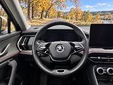 Škoda Kodiaq 2,0 142kW Top Selection 4x4 DS - náhled 21