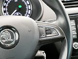Škoda Octavia - náhled 17