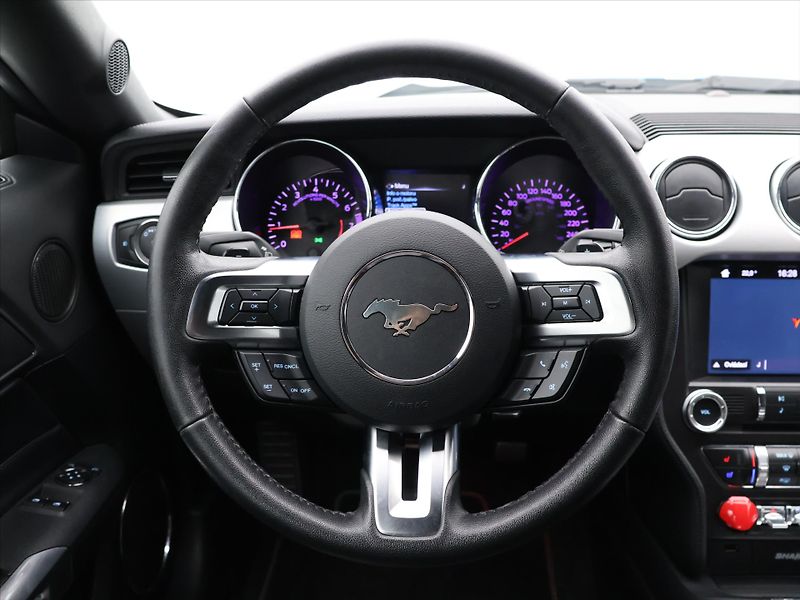 Ford Mustang 5,0 5.0 TI-VCT 324kW V8 GT CZ - fotka 16 z 36