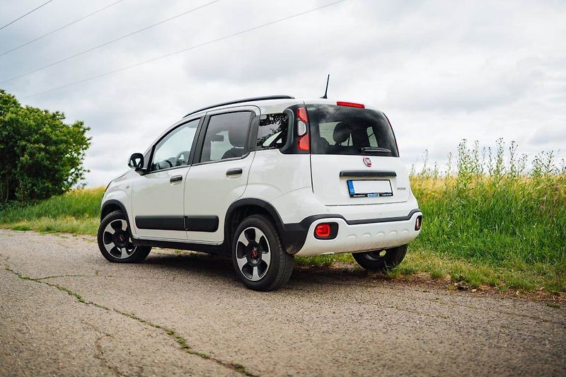Fiat Panda (2024) City Life 1.0 FireFly - fotka 4 z 24
