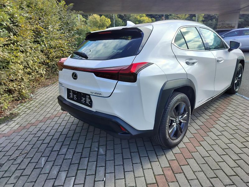 Lexus UX 250h black-white edition, kůže - fotka 7 z 25