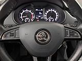 Škoda Octavia (2019) 1.5 TSI, ČR,1.maj, Tempomat - náhled 15