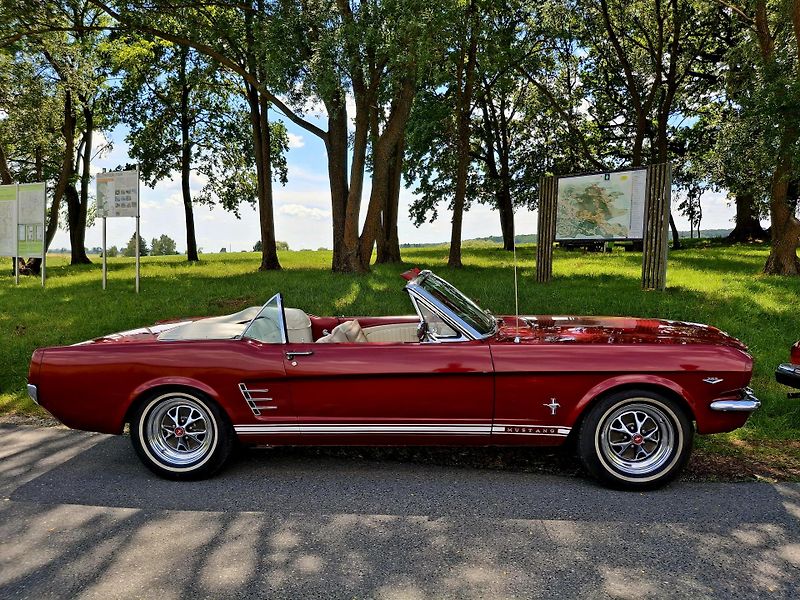 Ford Mustang (1966) Rok výroby 1966, Ford Mustang  - fotka 8 z 10