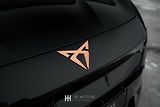 Cupra Formentor (2026) VZ 333 EXTREME, záruka 5 let - náhled 47