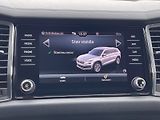 Škoda Kodiaq (2023) 2.0 TDI 147 kW 4x4 Style Plus - náhled 17