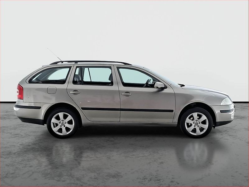 Škoda Octavia (2007) 1.9 TDI DPF 4x4, 4X4 - fotka 6 z 14