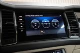 Škoda Kodiaq 2.0TDI 4x4*L&K*TAŽNÉ*DPH*ČR 1M - náhled 31
