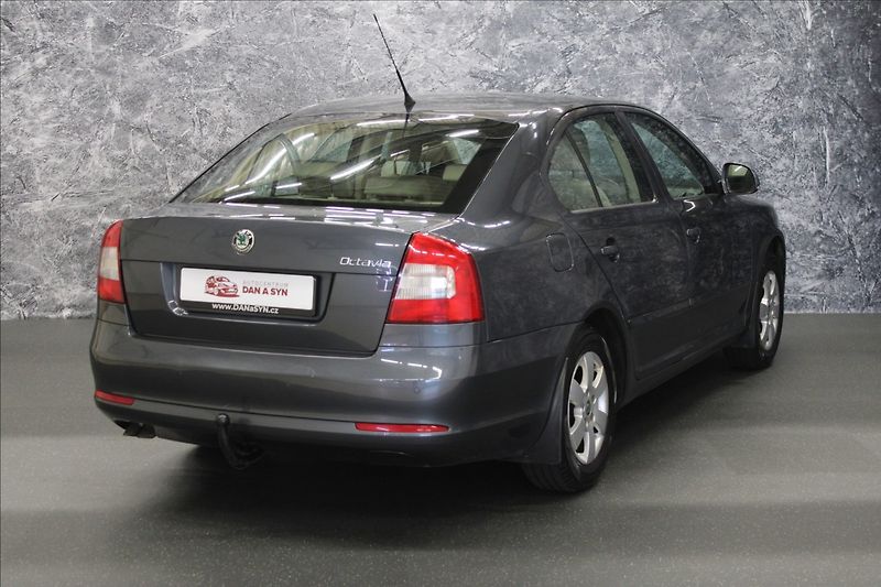 Škoda Octavia 1,9 TDI 77 KW Elegance - fotka 3 z 25
