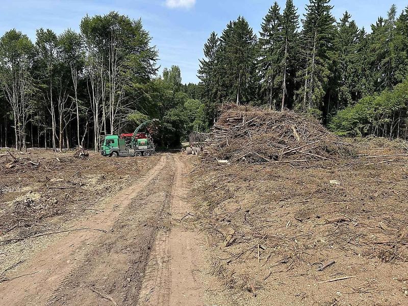 Na trase D11 Jaroměř - Trutnov skončilo kácení dřevin.