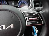 Kia Ceed (2024) 1.5 TGDi, 1.maj,ČR, AC - náhled 13