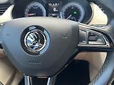 Škoda Octavia 2.0TDi 135kw 4x4 DSG ČR odpDPH - náhled 20