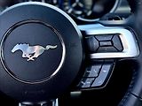 Ford Mustang 5,0 GT V8 330kW 55YearsEdition - náhled 20