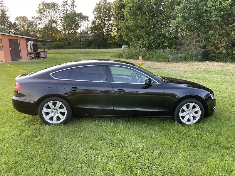 Audi A5 (2010) - fotka 4 z 12