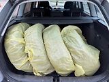 Škoda Octavia (2007) SCOUT 2.0 TDI Kombi 4x4 - náhled 8