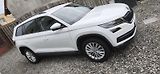 Škoda Kodiaq (2019) 2.0 TDi DSG 110kw  - náhled 1