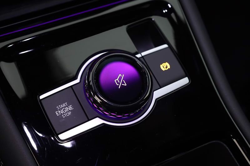Volkswagen Tiguan TDI 4M R-Line Kůže Pano 360 IQ - fotka 15 z 18