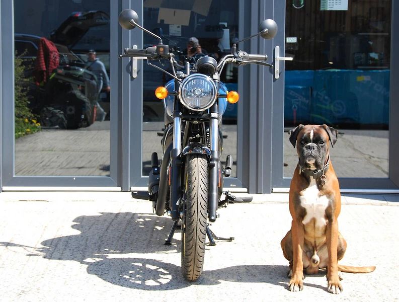 Royal Enfield Meteor 350 (2026) 350 Meteor BLUE - fotka 7 z 25