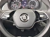 Škoda Fabia (2023) 1.0 TSI, ČR,1.maj, Tempomat - náhled 15