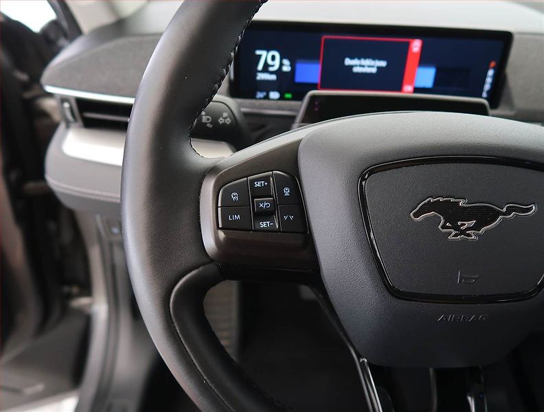 Ford Mustang Mach-E (2021) Standard Range RWD, SoH 95% - fotka 25 z 34