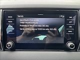 Škoda Karoq 2,0 TDI DSG STYLE DPH 1.maj ČR - náhled 42
