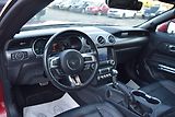 Ford Mustang (2022) 5.0GT 330kw V8 CABRIO AUTOMAT  - náhled 18