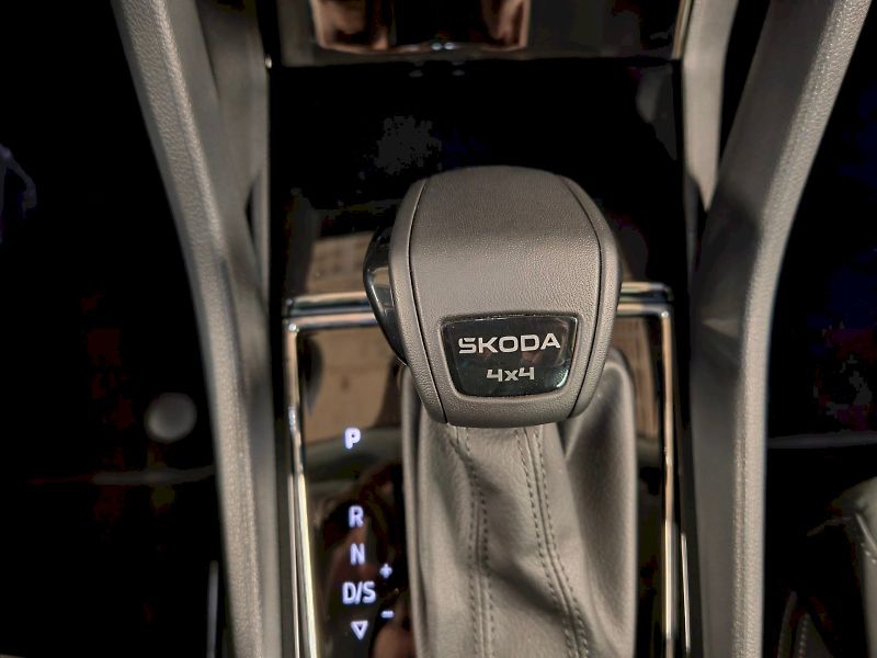 Škoda Karoq (2025) 2.0 TDI 110 kW DSG 4x4 Top Sel - fotka 16 z 28