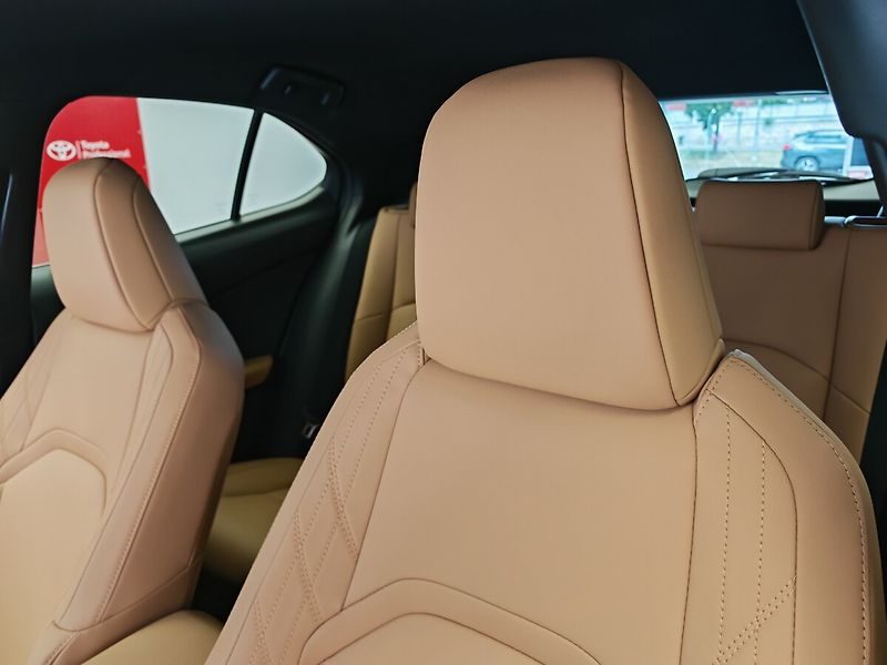 Lexus UX 300h F Sport Design 300H - fotka 19 z 44