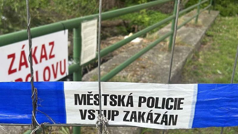 Labutí samec vidí v odrazu svého soka.