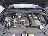 Volkswagen Tiguan Life 1.5 TSI 110kW - náhled 27