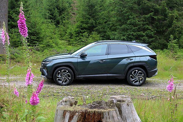 Auto působí elegantně, přitom i sportovně, zdroj: Deník/Radek Pecák