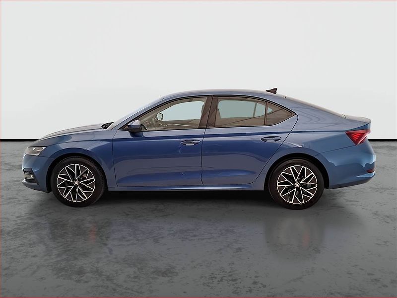 Škoda Octavia (2021) Ambition Plus 2.0 TDI, ČR - fotka 3 z 18