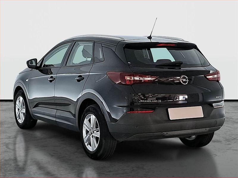 Opel Grandland X (2020) 1.2 Turbo, ČR,1.maj, Tempomat - fotka 4 z 16
