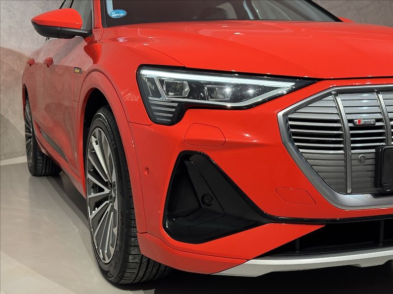 Audi e-tron 300kW S-Line Night Vision - fotka 6 z 48