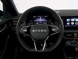 Škoda Kamiq (2025) MONTE CARLO 1.5TSI 110KW DSG P - náhled 17