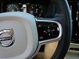 Volvo V90 (2018) 2.0 D5 4x4, Cross Country - náhled 13