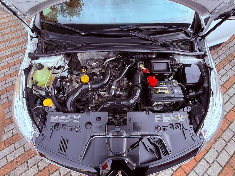 Renault Clio 0.9 TCe, ČR, 1.Maj - fotka 24 z 25