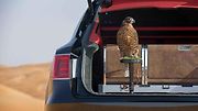 Bentley Bentayga Falconry.