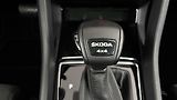 Škoda Kodiaq 2.0 TDI DSG 4x4 Style - náhled 25
