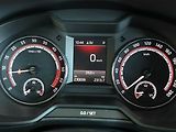 Škoda Octavia (2019) RS 2.0 TDI, Automat, Kůže - náhled 11