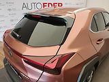 Lexus UX 300h F Sport Design 300H - náhled 10