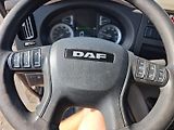 DAF LF 230 FA,18 PALET, KLIMA, ČELO - náhled 11