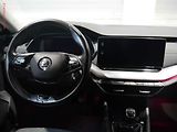 Škoda Octavia (2020) 2.0TDi, ČR, LED, park.čidla - náhled 13